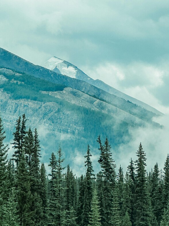 Hydration is more than drinking water. Learn how Wyoming’s sun, wind, altitude, and dry climate affect energy, focus, heat tolerance, and cellular resilience—and how True Vitality will offer free MX3 saliva hydration testing at Superday 2026.