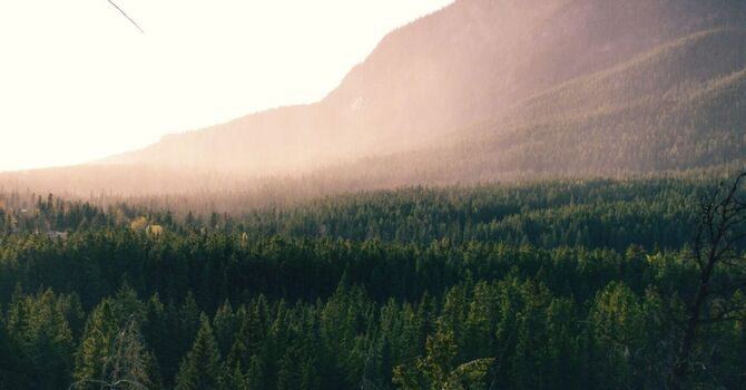 Bioenergy Tech Session