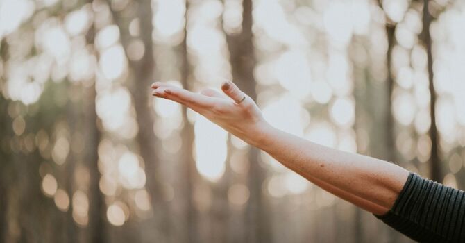 Bioenergetic Lifestyle Coaching -- Coming Soon!