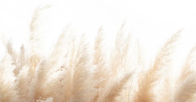 Bioenergetic Lifestyle Coaching -- Coming Soon!